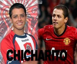 пазл Chicharito