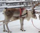 Рождество оленей потянув санях