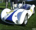 Maserati Tipo 61 (1960)