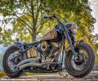 Фантастический Superbikes Harley-Davidson