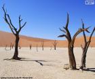 Deadvlei, Намибия